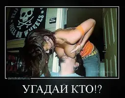 5.webp