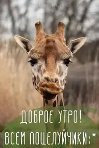 3538dddaa4c459ac1dc5ed567d8bcc80.webp