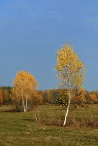 _DSC1798.webp