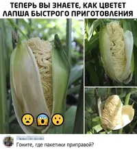 L5g7RcBXkaM.webp