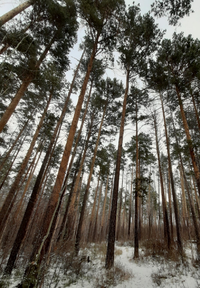 20201101_150306.webp