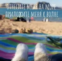 N8HxnJsZtxw.webp
