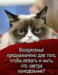 IMG-20201101-WA0010.webp