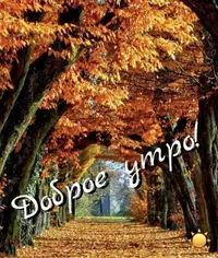 4d7e30c102080c9f9495e661b3cbac74.webp