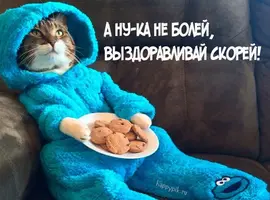 baf0e72a05c0ddaef7a2804560bce604.webp