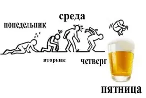 IMG-20190426-WA0004.webp