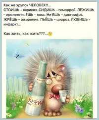 y1m8_e7lv9k.webp