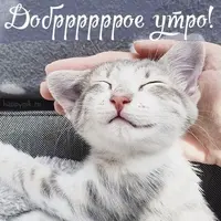 bc1439b2776d9b12126ce37d6fc05bea.webp