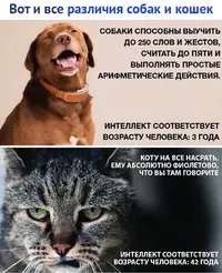 IMG-349035004c13da6c7d9acb5a74c46f2f-V.webp