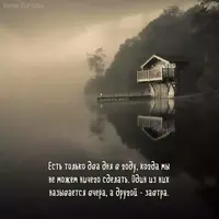 b6b95ab26134ca9a8bb33836aded9200.webp