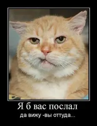 2020-11-03-13-41-58.webp