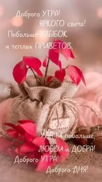 1d17522c6ac472f4a2cd63d745761520.webp