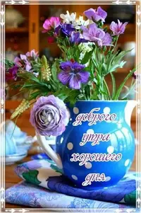5e009da0b846e74c3e1c4409f1c28b35.webp