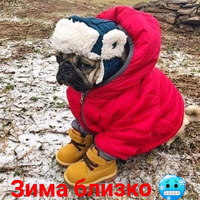 1604402192691.webp