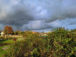 IMG_20201103_160851.webp