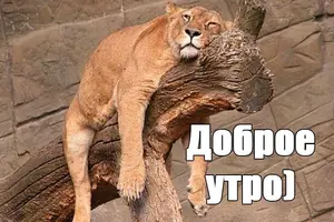 i (2).webp