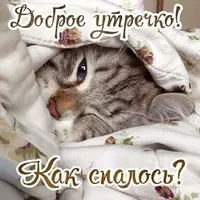 eda19785ed06b5b3ea9a2f6ccc056c82.webp