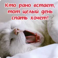 e2a94cc5603af965f441164831beffad-thumb_1920.webp