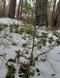 20201105_140041.webp