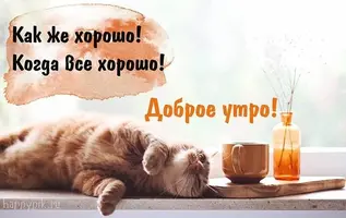 abc379269d967dd1cde7755641f3f4e6.webp