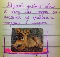 203344_11_nevsedoma_com_ua.webp