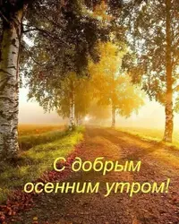 IMG-20201106-WA0001.webp