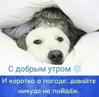 bd82287db3a8ae1b0d4dfacad771d172.webp