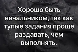 TXLrp8MoLxY.webp
