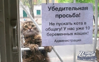 20201108_011527.webp