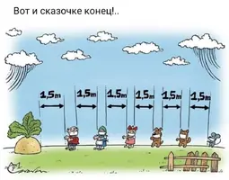 9Ap8E5Vj8m4.webp