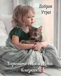 143dcb08b6ff2b8f38b1e41b6b0fbb84.webp