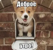 kartinki_dobroe_utro7.webp
