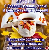 IMG-20201109-WA0001.webp