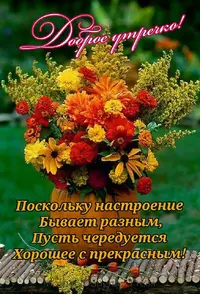 IMG-20201109-WA0005.webp