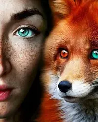 96f0e8f2634f49736273c8f88d8047da.webp