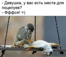 ef0ce1639d0f0b06c2250ee524547c7c.webp