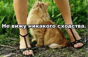 bf6e89666b68c313e62084a66da9ecc6.webp