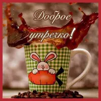 IMG-20201109-WA0007.webp