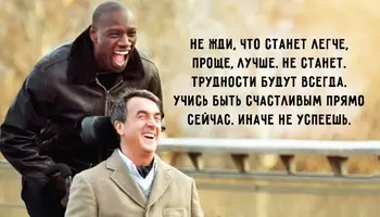 11.webp