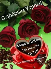 IMG-20201112-WA0006.webp