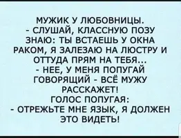 IMG_20201112_233131.webp