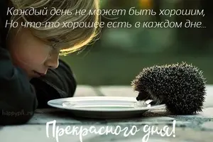 d35546d5a959bc4c523533d60c98c68c.webp