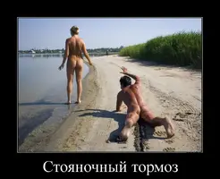 cr_386155252194091604144.webp