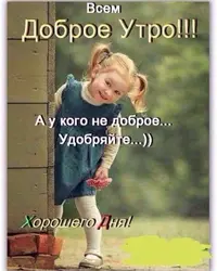 0041ab899a0d4f2243aeb6673a0e2fb2.webp