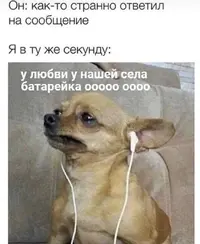 0DD35B9D-5067-4F70-8DBF-0E8542FB91B2.webp