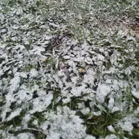 IMG_20201115_084003_034.webp