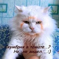 IMG_20201115_140012.webp
