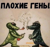 8E99F476-98B3-4A5D-9FE1-4C97B239C64D.webp