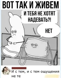 D23E1E32-6025-4176-8836-6F59274E0D4F.webp