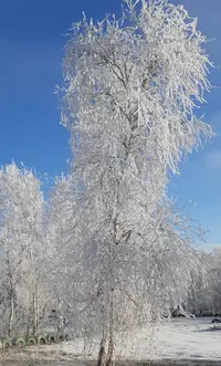 20201116_113059.webp